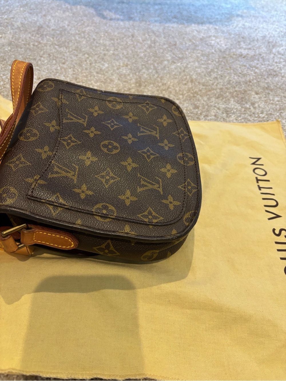 Louis Vuitton Monogram Saint Cloud Crossbody Bag - Picture 5 of 8